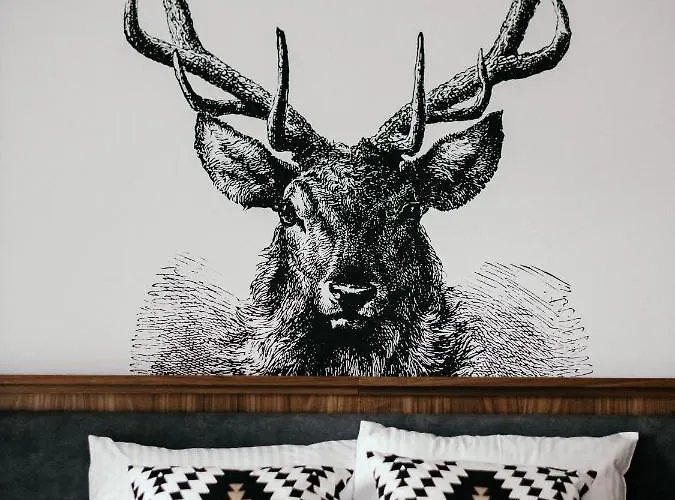 Διαμέρισμα Chramcowki 7 *